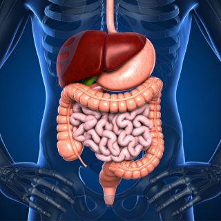 Wspiera oczyszczanie organizmu